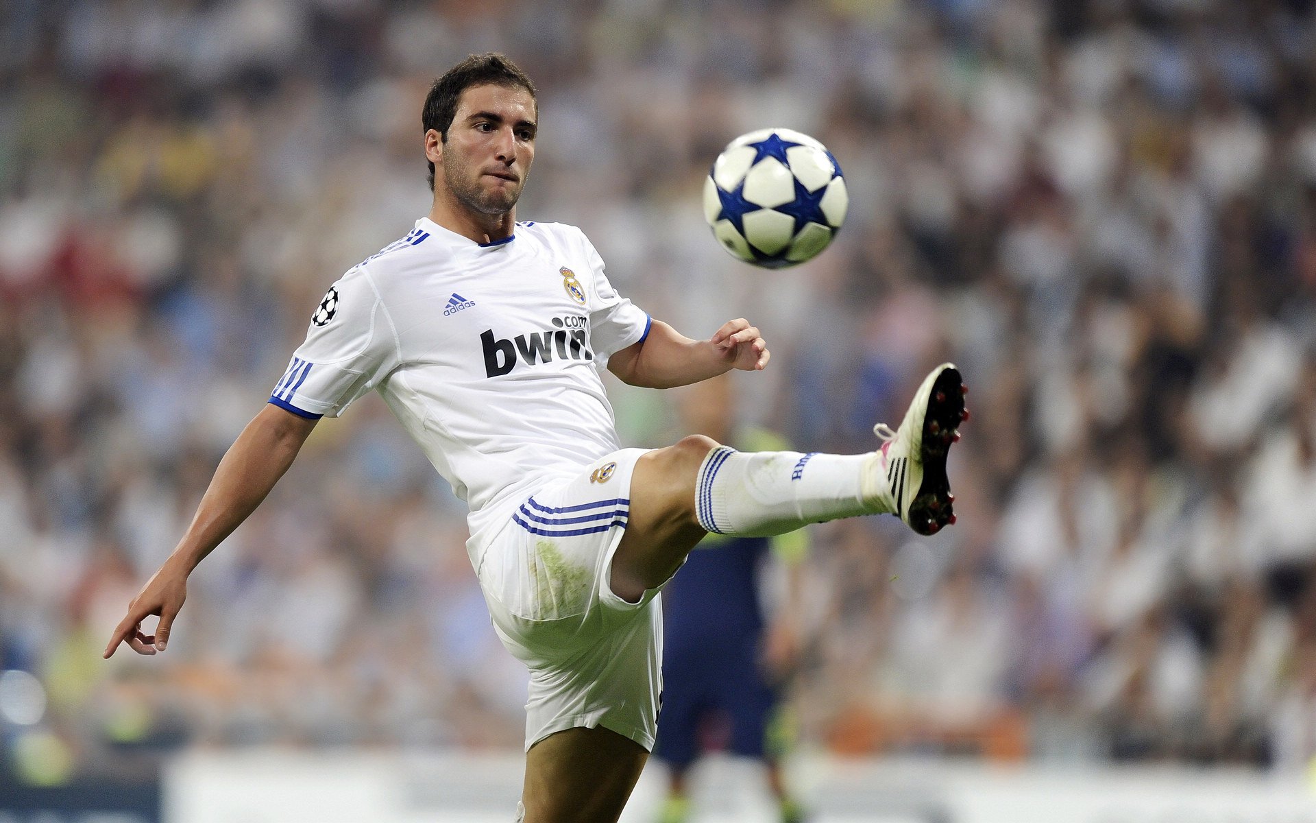 体育明星品牌价值排行